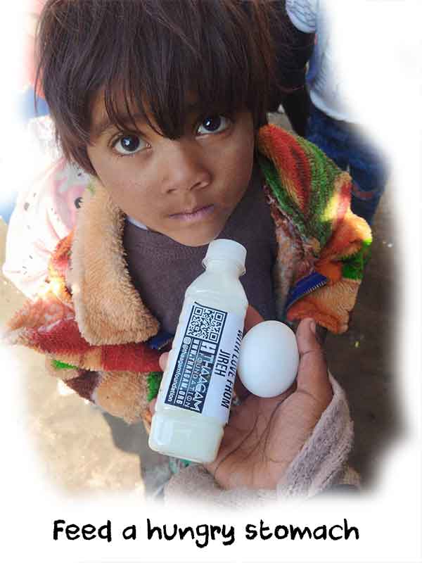 Fight Hunger Together