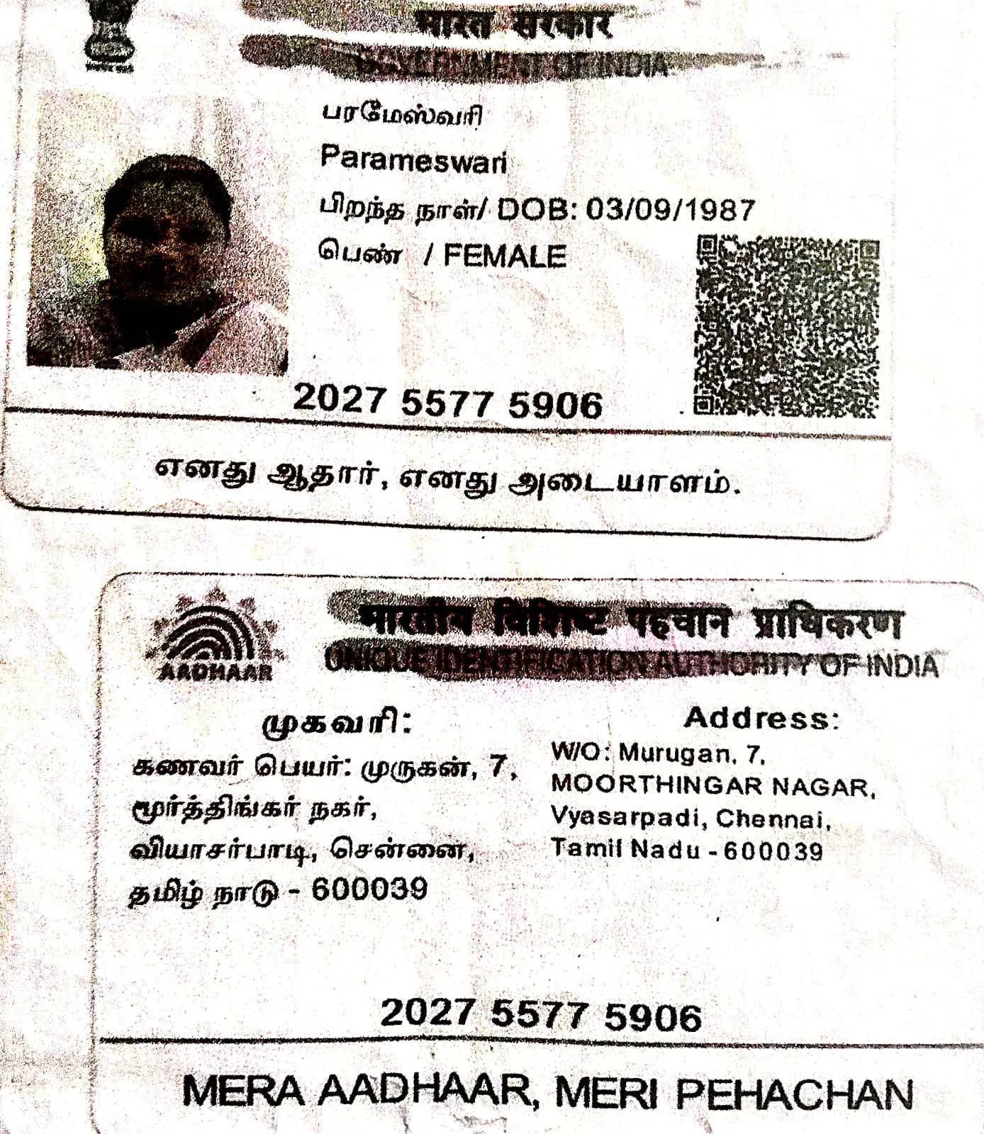 Campaigner PAN / Aadhar